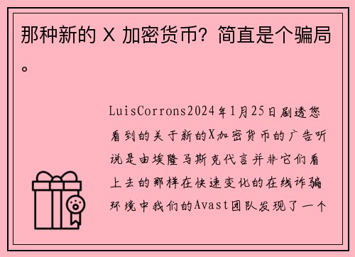 那种新的 X 加密货币?简直是个骗局。