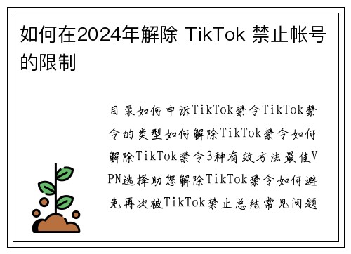 如何在2024年解除 TikTok 禁止帐号的限制