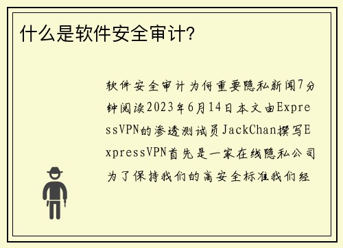 什么是软件安全审计？